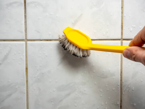  Tarrant, AL Mold Removal Pros