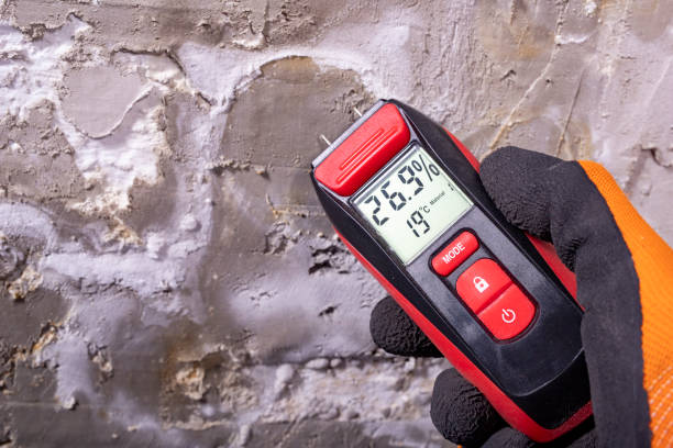 Best Mold Testing  in Tarrant, AL