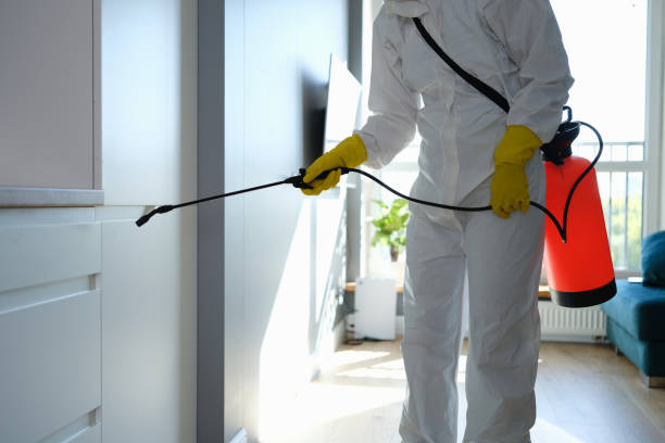 Mold Testing and Removal in Tarrant, AL