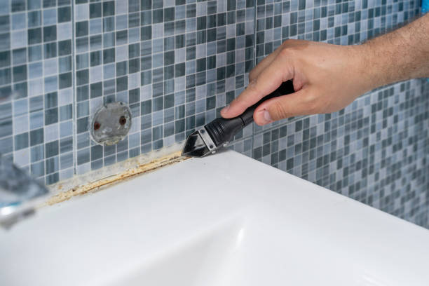 Best Commercial Mold Removal  in Tarrant, AL
