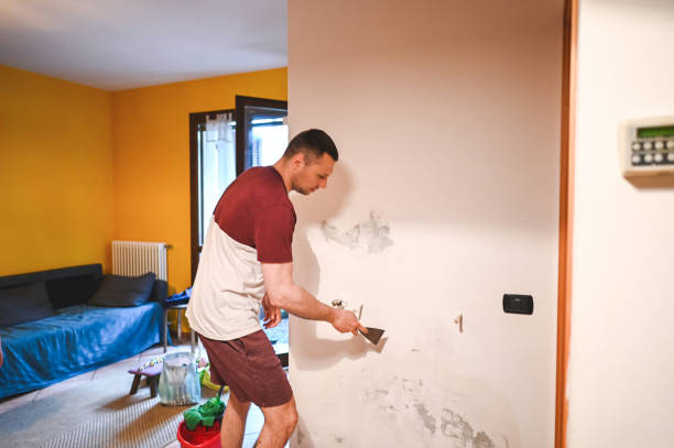 Best Mold Cleaning Services  in Tarrant, AL