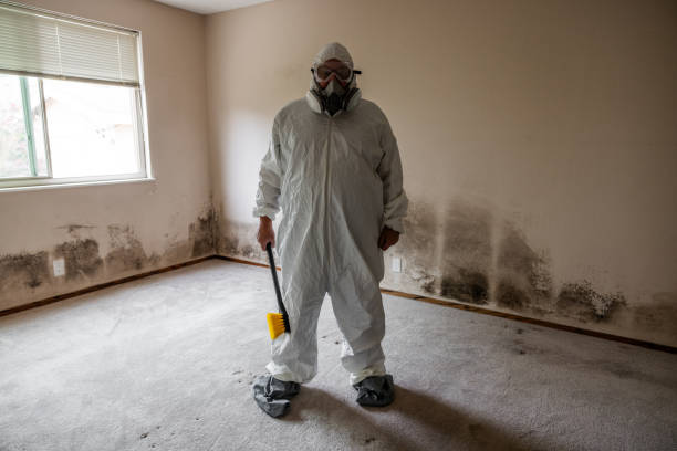 Mold Removal and Inspection in Tarrant, AL