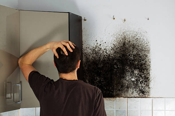 Water Damage Restoration in Tarrant, AL